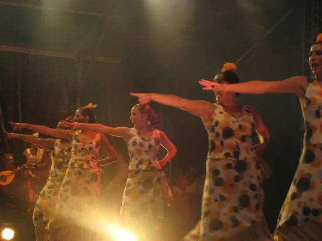 Confolens (Francia) — foto 25